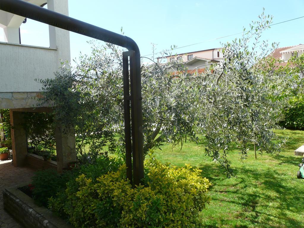Apartments Mirela Пореч Экстерьер фото